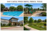 1645 Castle Pines Drive - Photo 3