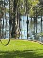 459 Dollie Moore Road - Photo 6
