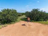1448 County Road 121 - Photo 36