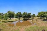 11077 Us Highway 287 - Photo 36