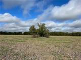 TBD Cr 117 Road - Photo 9
