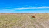 Lot 22 Private Road 1270A - Photo 1