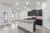 2908 Frio Road - Photo 5