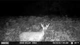 0000 County Road 2610 - Photo 3