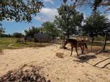 32951 Fm 47 - Photo 2