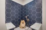 2503 Nueva Way - Photo 28