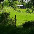 TBD Fm 1752 Road - Photo 6