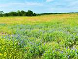 TBD PR 373 County Road 3373 - Photo 1