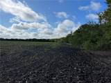 TBD Cr 117 Road - Photo 5
