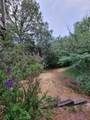 161 Colt Drive - Photo 14