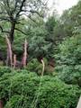161 Colt Drive - Photo 15