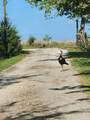 470 Private Road 3650 - Photo 13
