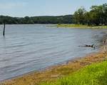 153 Catfish Trail - Photo 1
