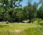 153 Catfish Trail - Photo 3
