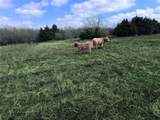 4081 Fm 2736 - Photo 9