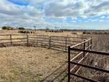 TBD Rice Road - Photo 3
