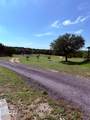 5553 Ruff Country Court - Photo 12