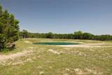 5553 Ruff Country Court - Photo 9