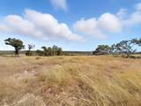 TBD Fm 2414 - Tract 4 - Photo 3