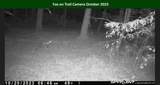 0 Pr 6150 - Photo 33