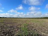 TBD Cr 117 Road - Photo 4