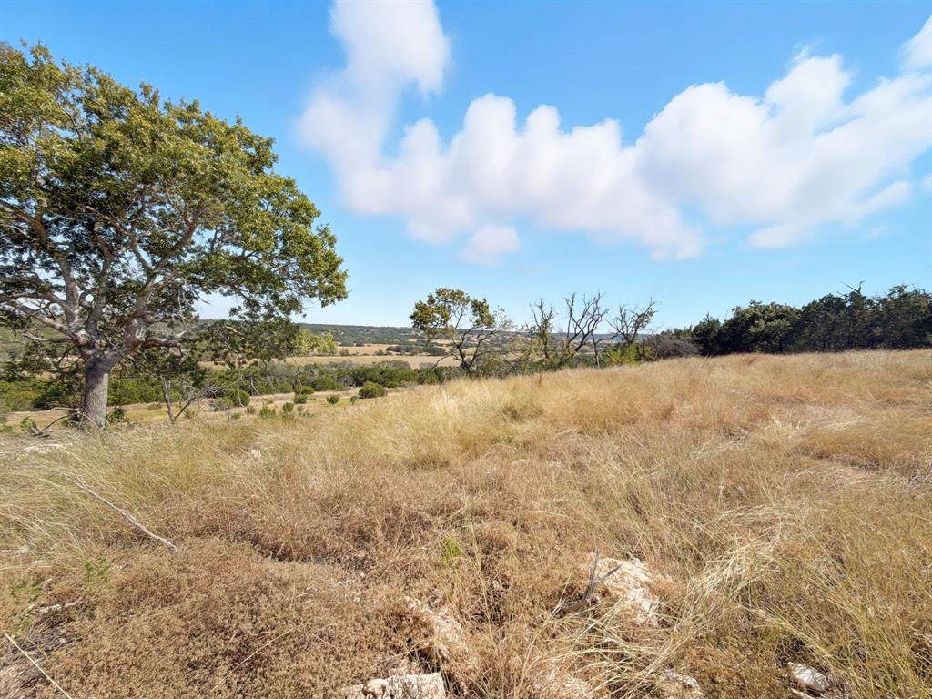 TBD Fm 2414 - Tract 4 - Photo 1