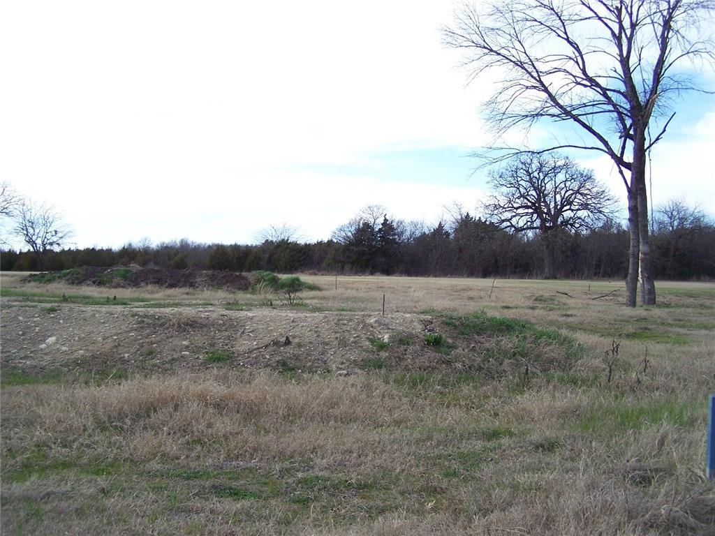 161 Bent Oak Drive - Photo 1