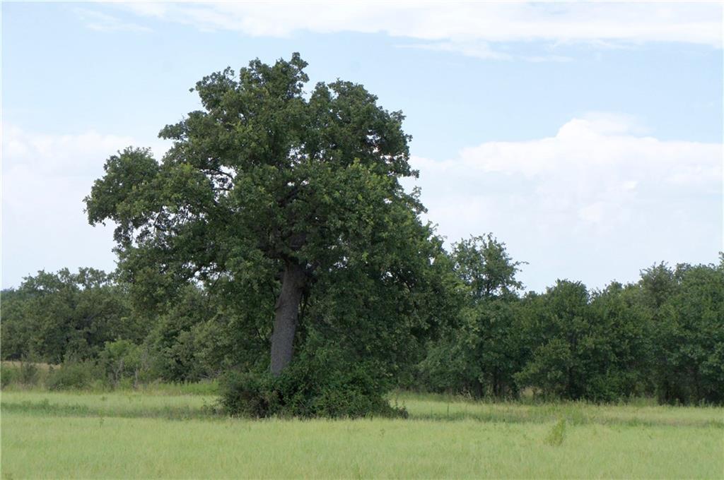 101 Fm 583 - Photo 1
