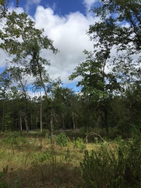 0 Fm 323 - Photo 1