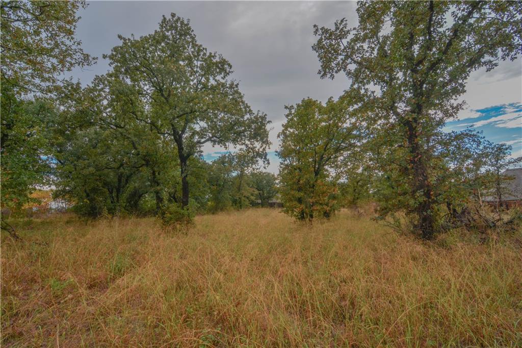 1150 Walking Horse Drive - Photo 1