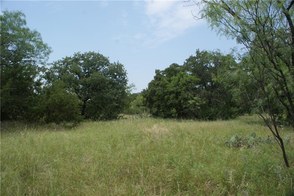 F2 Stagecoach Trail - Photo 1