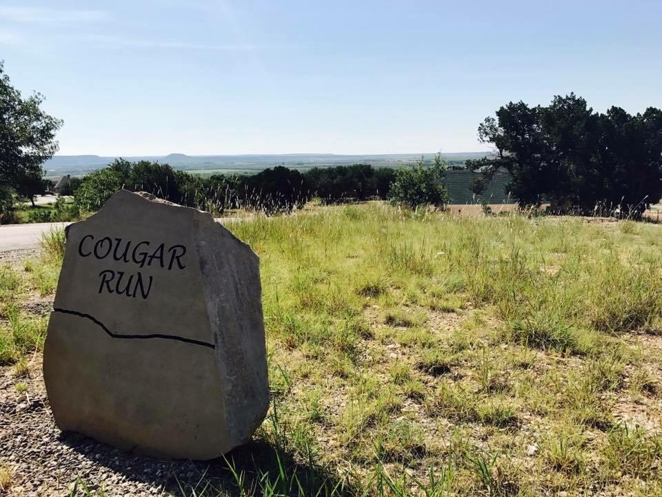 133 Cougar Run - Photo 1