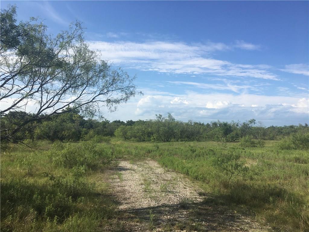00 Elenburg Road - Photo 1