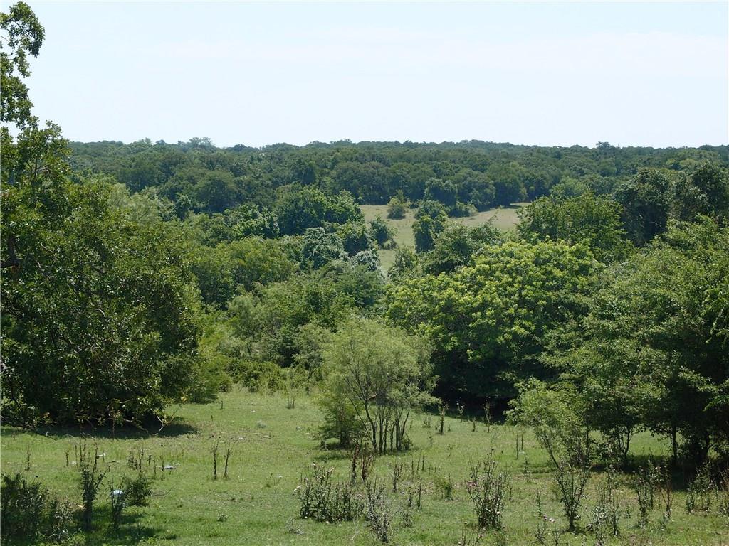 1684 Cr4380 Road - Photo 1