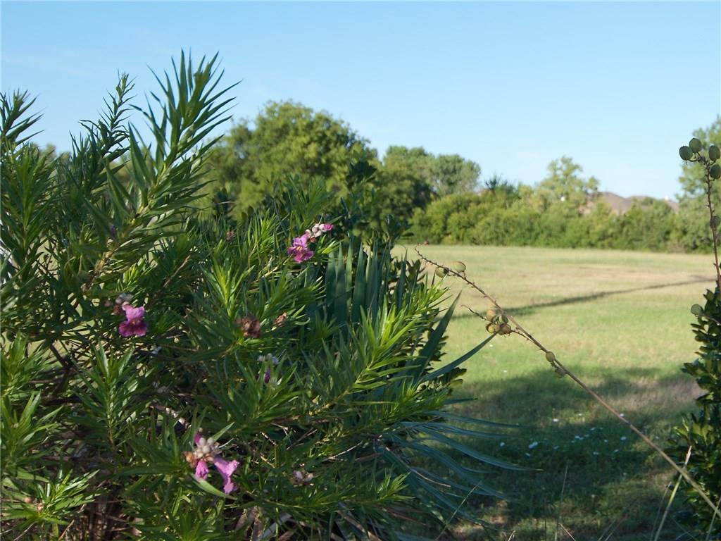 935 Clark Road - Photo 1