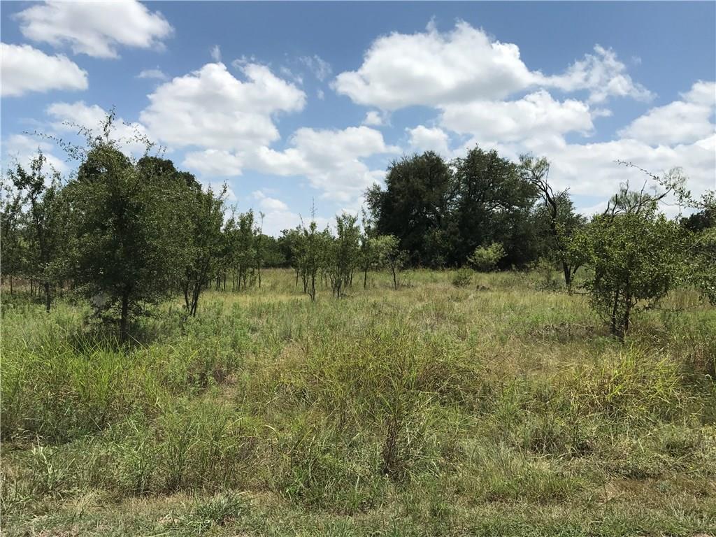 TBD Mercers Preserve Road - Photo 1
