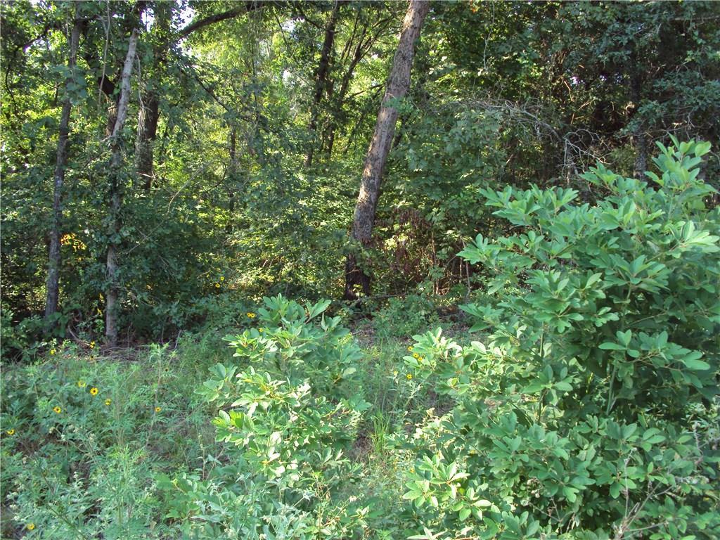 00 Cumberland Circle - Photo 1