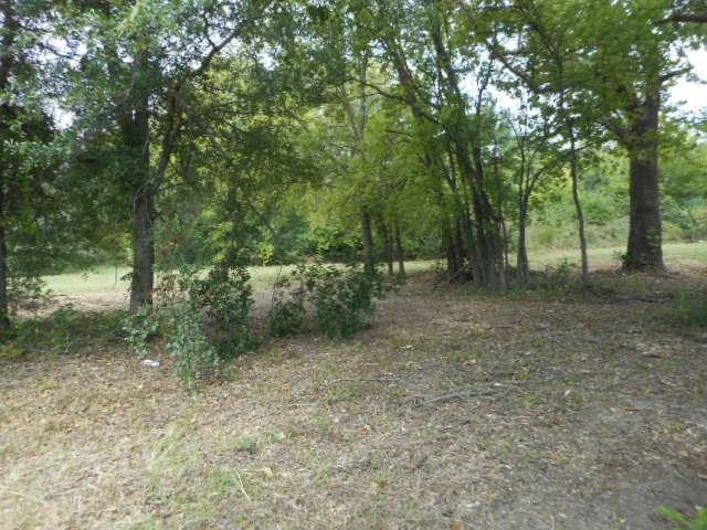 TBD Rockdale Road - Photo 1