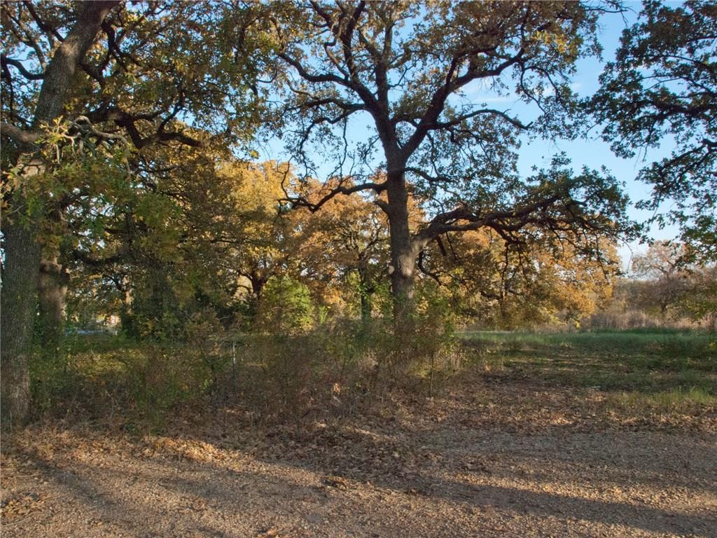 1216 Dowdy Ferry Road - Photo 1