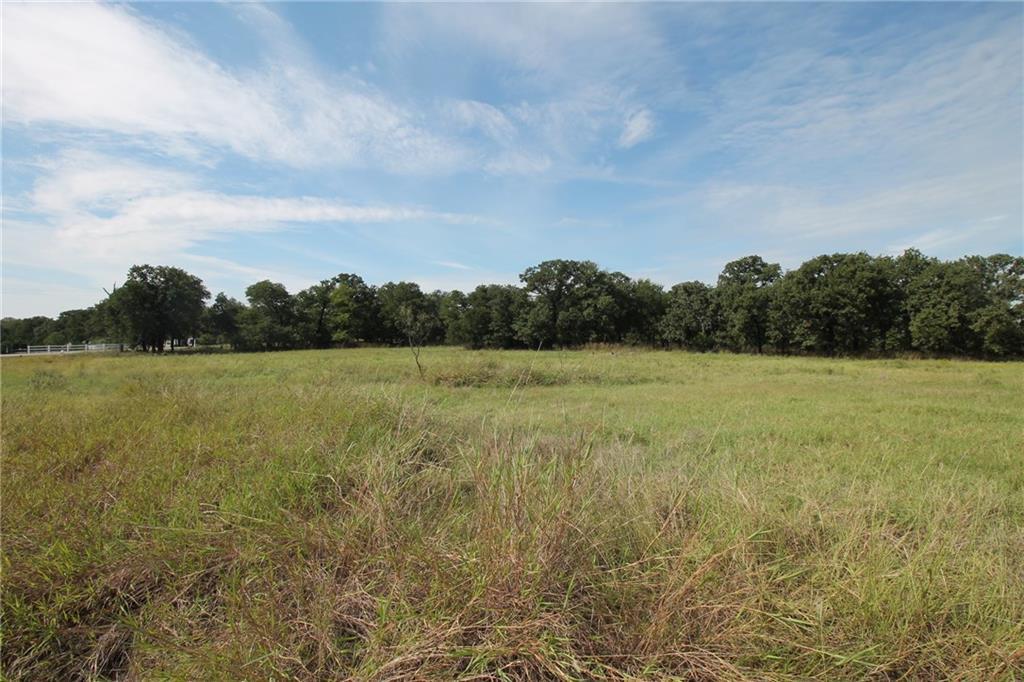 Lot 18 Meadow View Court - Photo 1