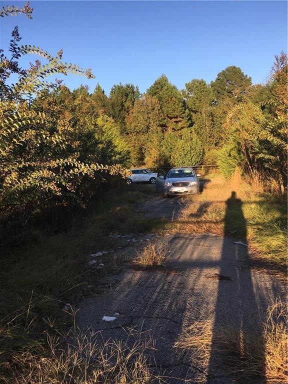 24710 County Road 244 - Photo 1