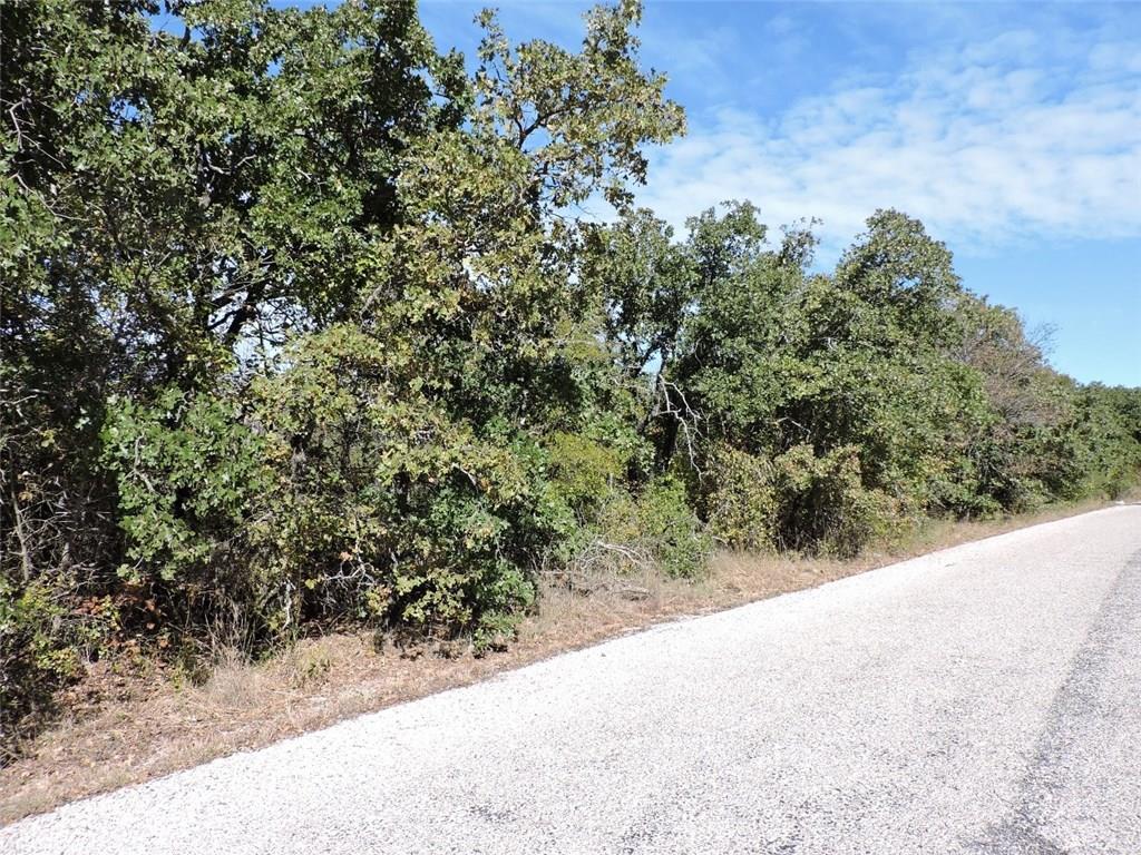 Lot 3 Jim Walter Drive - Photo 1