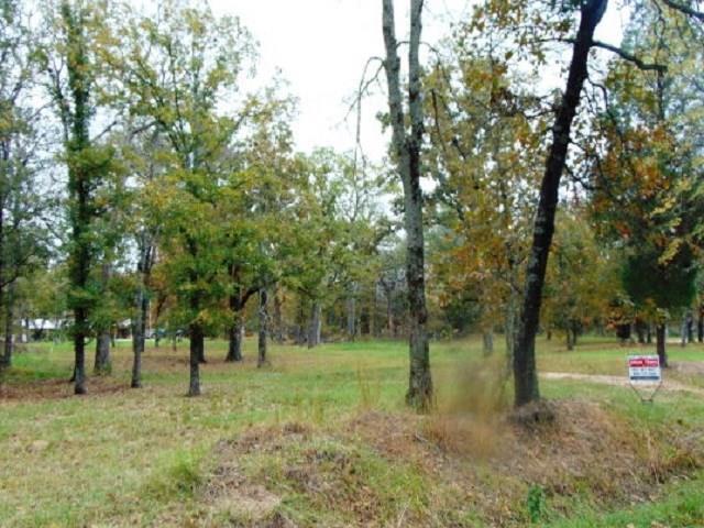 0000 Huckleberry Lane - Photo 1