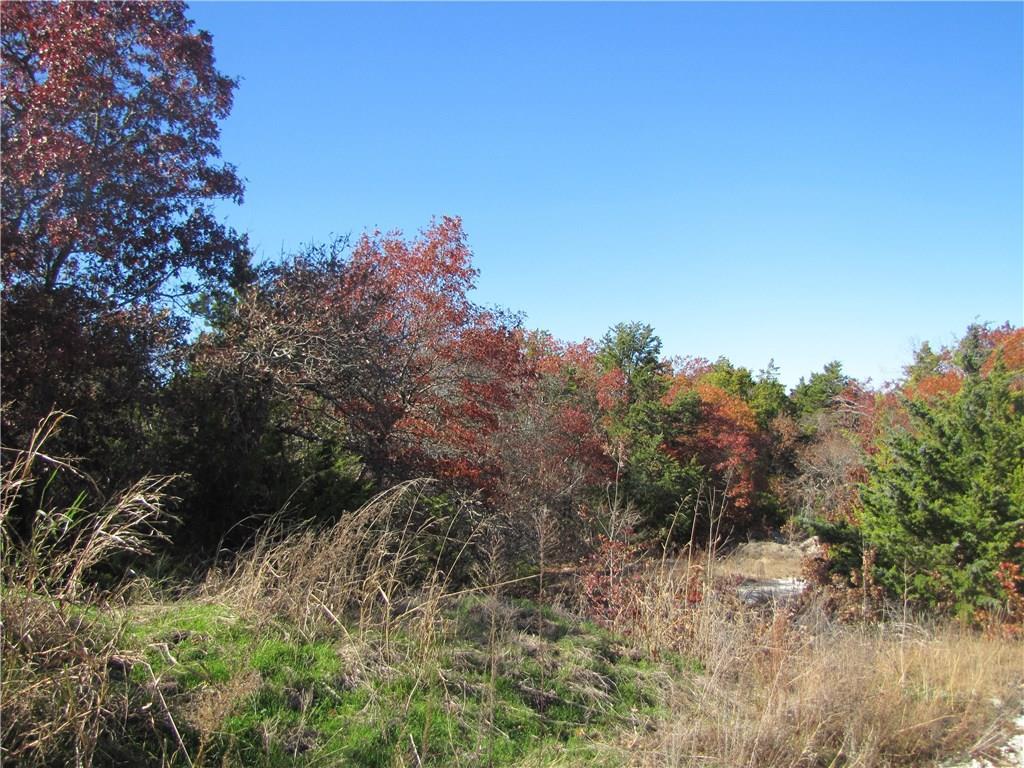 0 Brian Place - Photo 1