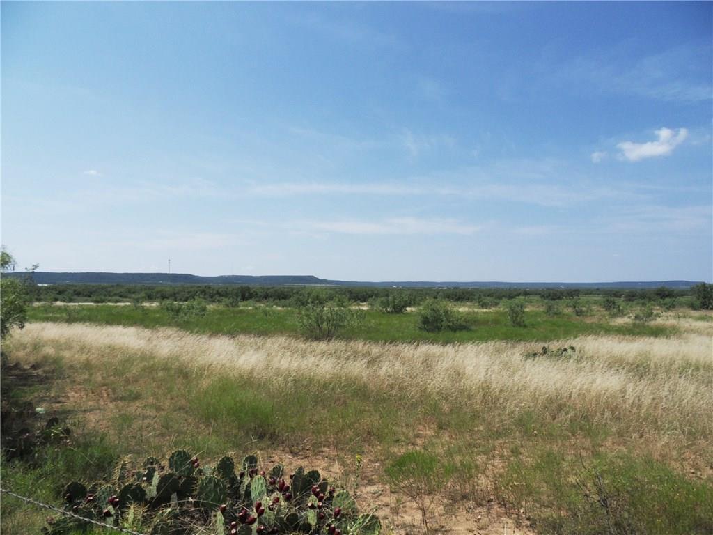 7573 Hwy 36 South - Photo 1
