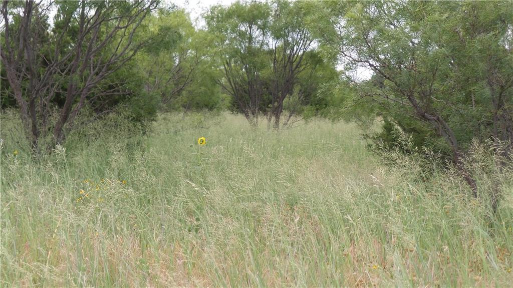 10 AC Old Cheyenne Trail - Photo 1