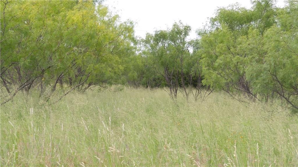10AC Old Cheyenne Trail - Photo 1
