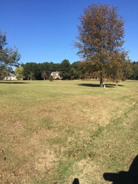 TBD Ridgecrest Place - Photo 1