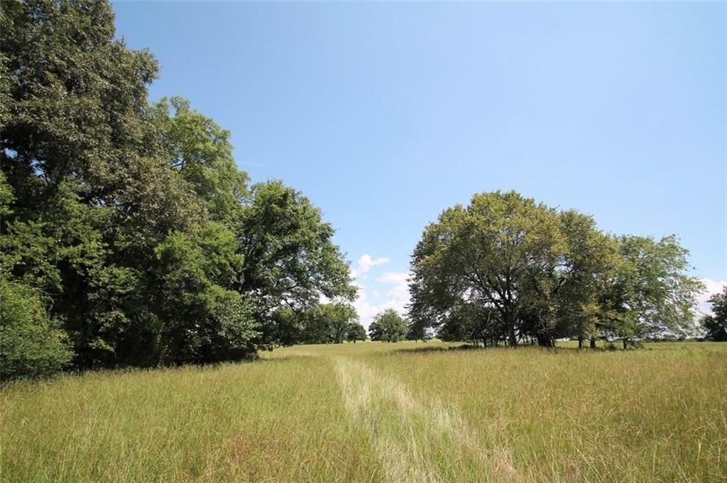 TR 2 Fm 2225 & County Road - Photo 1
