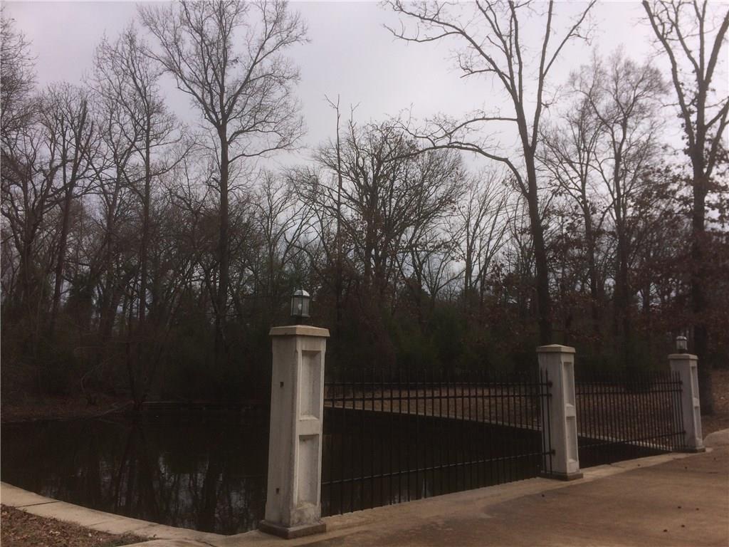 LOT 44 Bois D Arc Street - Photo 1